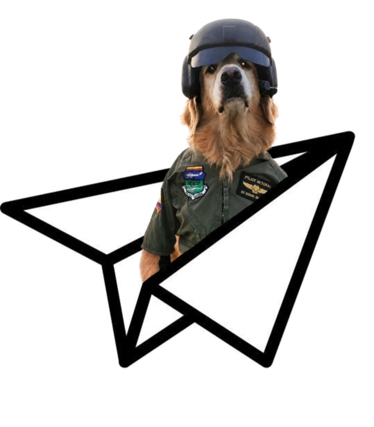 Send Dog riding a paper plane